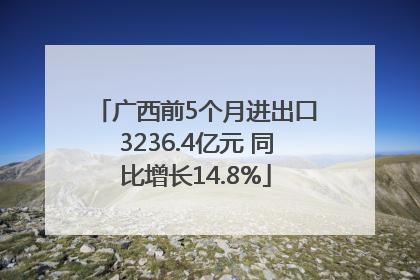 广西前5个月进出口3236.4亿元 同比增长14.8%