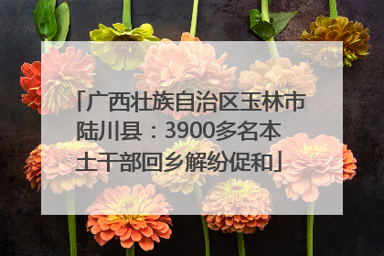 广西壮族自治区玉林市陆川县：3900多名本土干部回乡解纷促和