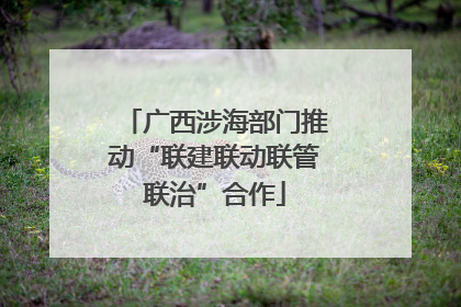 广西涉海部门推动“联建联动联管联治”合作
