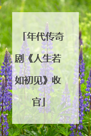 年代传奇剧《人生若如初见》收官