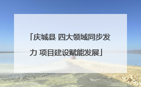庆城县 四大领域同步发力 项目建设赋能发展