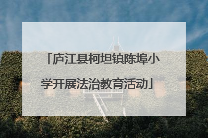 庐江县柯坦镇陈埠小学开展法治教育活动