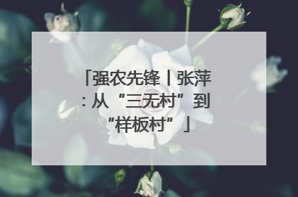 强农先锋丨张萍：从“三无村”到“样板村”