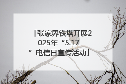 张家界铁塔开展2025年“5.17”电信日宣传活动