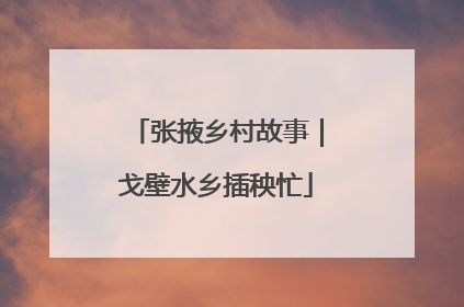 张掖乡村故事｜戈壁水乡插秧忙