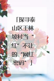 探寻泰山区王林坡村当“红”不让的“网红密码”