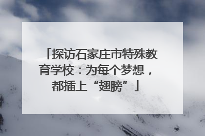 探访石家庄市特殊教育学校：为每个梦想，都插上“翅膀”