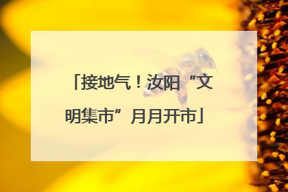 接地气！汝阳“文明集市”月月开市