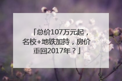 总价107万元起，名校+地铁加持，房价重回2017年？
