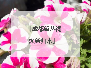 成都望丛祠焕新归来