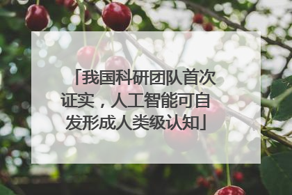 我国科研团队首次证实，人工智能可自发形成人类级认知