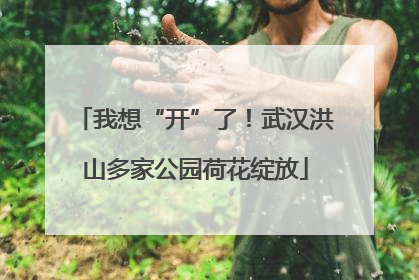 我想“开”了！武汉洪山多家公园荷花绽放