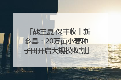 战三夏 保丰收丨新乡县：20万亩小麦种子田开启大规模收割