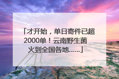 才开始，单日寄件已超2000单！云南野生菌火到全国各地……