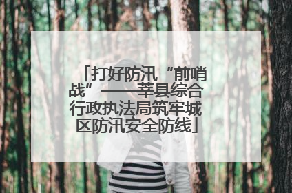 打好防汛“前哨战”——莘县综合行政执法局筑牢城区防汛安全防线