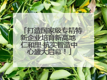 打造国家级专精特新企业培育新高地 仁和里·杭实智造中心盛大启幕！