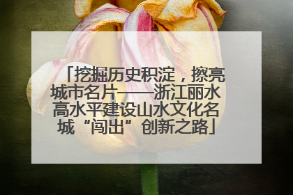 挖掘历史积淀，擦亮城市名片——浙江丽水高水平建设山水文化名城“闯出”创新之路