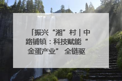 振兴“湘”村｜中路铺镇：科技赋能“金蛋产业” 全链驱动乡村振兴