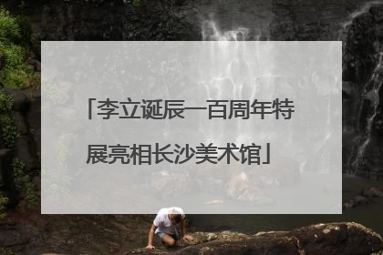 李立诞辰一百周年特展亮相长沙美术馆