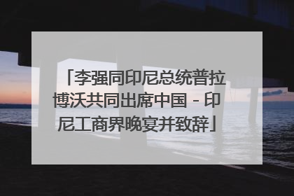 李强同印尼总统普拉博沃共同出席中国－印尼工商界晚宴并致辞