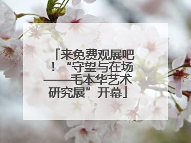 来免费观展吧！“守望与在场——毛本华艺术研究展”开幕