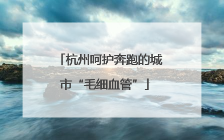 杭州呵护奔跑的城市“毛细血管”