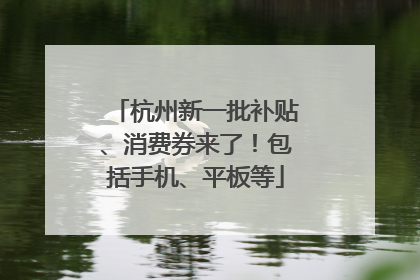 杭州新一批补贴、消费券来了！包括手机、平板等