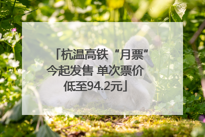 杭温高铁“月票”今起发售 单次票价低至94.2元