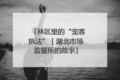 林区里的“宠客执法”｜湖北市场监管所的故事