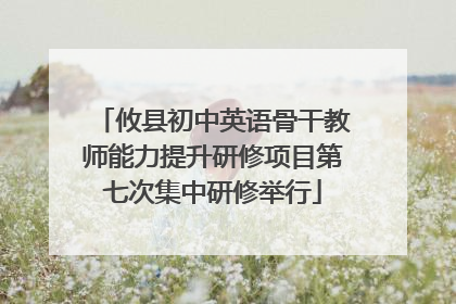 攸县初中英语骨干教师能力提升研修项目第七次集中研修举行