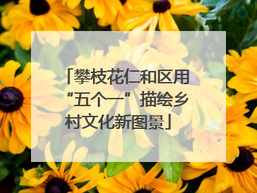攀枝花仁和区用“五个一”描绘乡村文化新图景