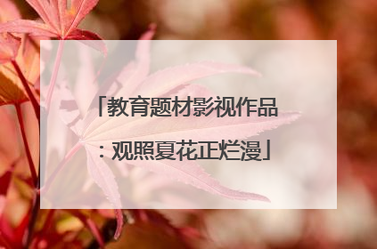 教育题材影视作品：观照夏花正烂漫