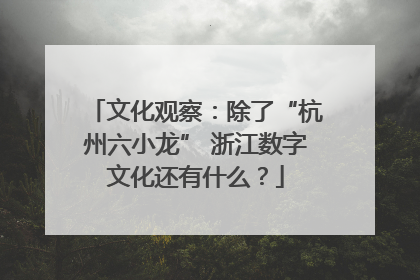 文化观察：除了“杭州六小龙” 浙江数字文化还有什么？