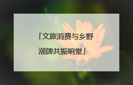 文旅消费与乡野潮牌共振响堂
