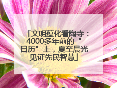 文明蕴化看陶寺：4000多年前的“日历”上，夏至晨光见证先民智慧