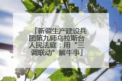 新疆生产建设兵团第九师乌拉斯台人民法庭：用“三调联动”解牛事