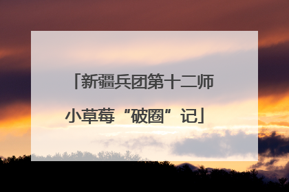 新疆兵团第十二师小草莓“破圈”记