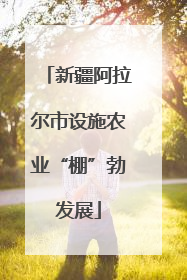 新疆阿拉尔市设施农业“棚”勃发展
