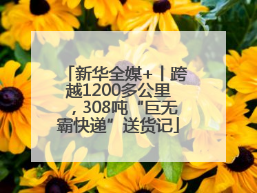 新华全媒+丨跨越1200多公里，308吨“巨无霸快递”送货记