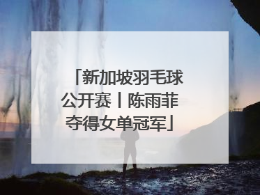 新加坡羽毛球公开赛丨陈雨菲夺得女单冠军