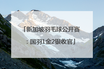 新加坡羽毛球公开赛：国羽1金2银收官