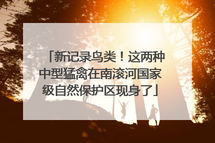 新记录鸟类！这两种中型猛禽在南滚河国家级自然保护区现身了