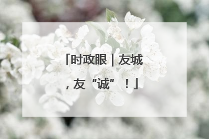 时政眼｜友城，友“诚”！