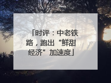 时评：中老铁路，跑出“鲜甜经济”加速度