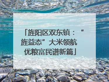 旌阳区双东镇：“旌益态”大米领航 优粮富民谱新篇