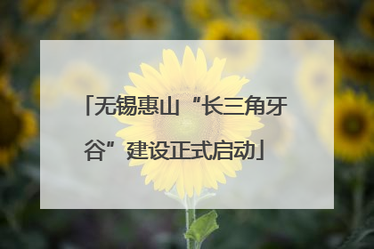 无锡惠山“长三角牙谷”建设正式启动