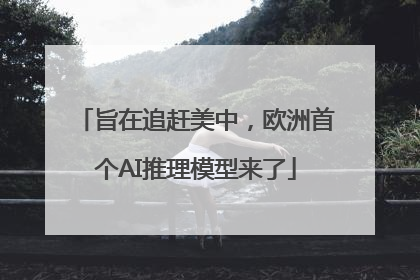 旨在追赶美中，欧洲首个AI推理模型来了