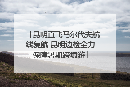 昆明直飞马尔代夫航线复航 昆明边检全力保障暑期跨境游