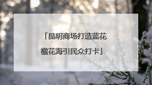 昆明商场打造蓝花楹花海引民众打卡