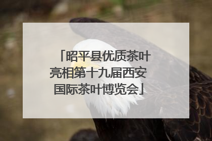 昭平县优质茶叶亮相第十九届西安国际茶叶博览会
